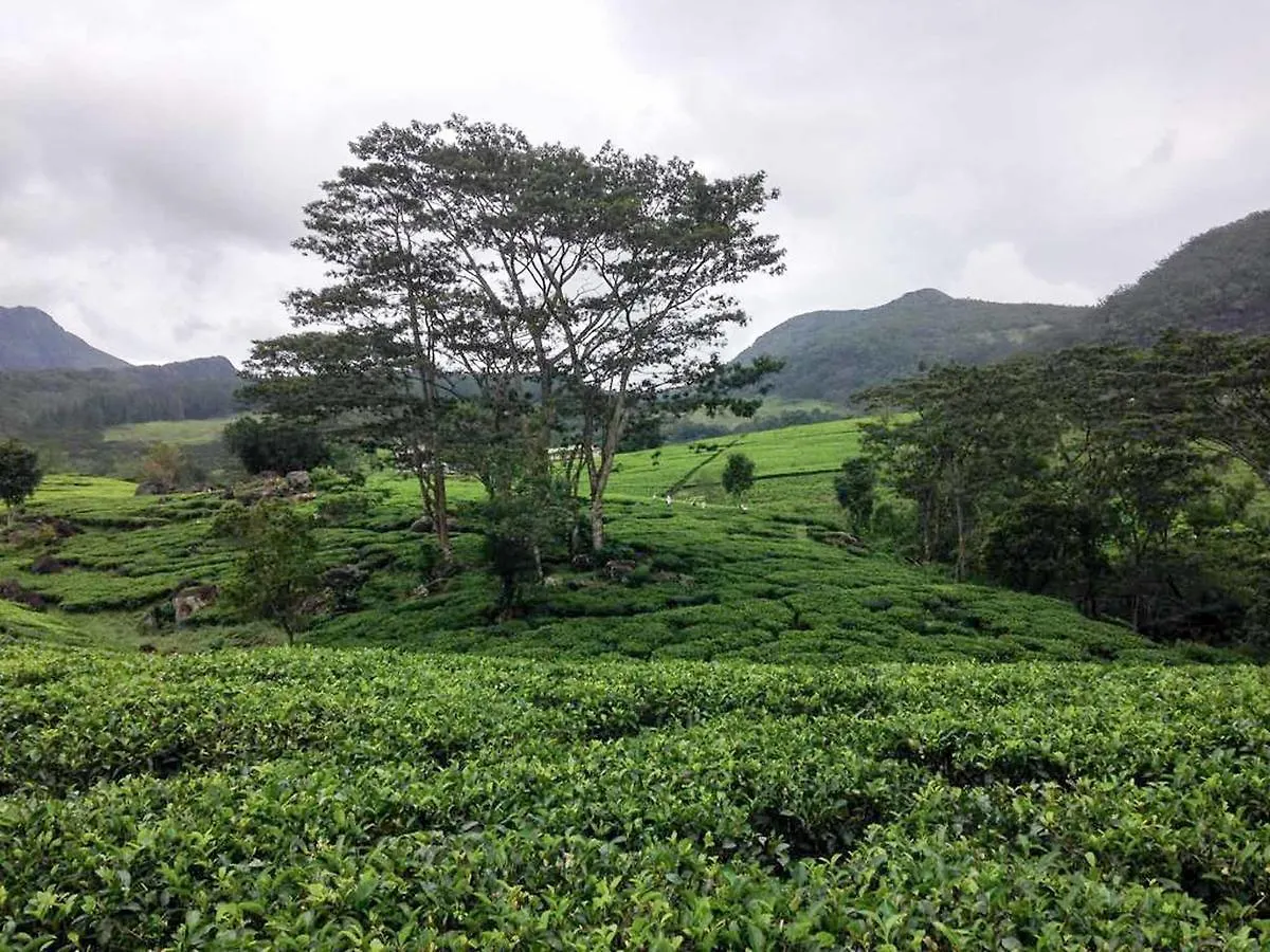 Resort Yoho Bambarella Knuckles Hotel Kandy