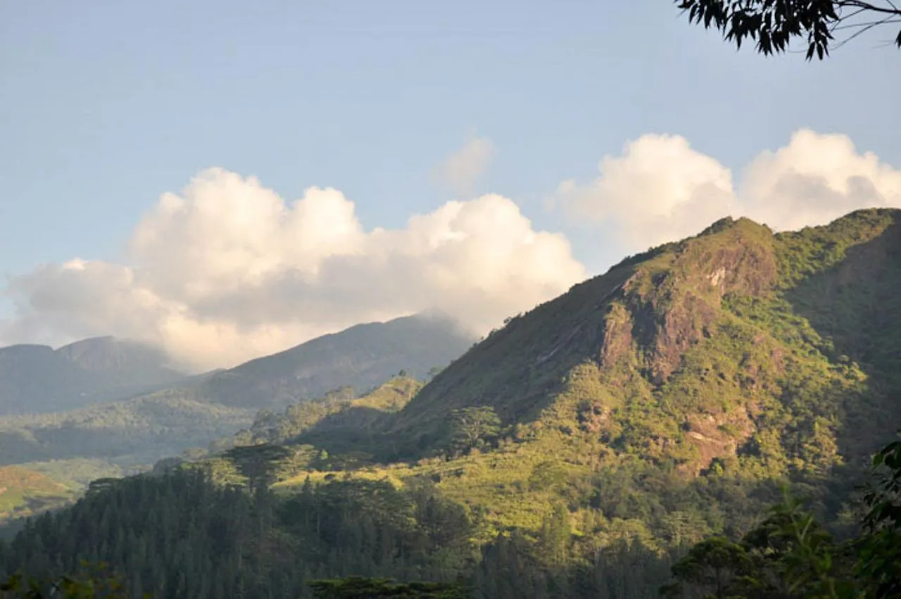 Yoho Bambarella Knuckles Hotel Kandy 2*,